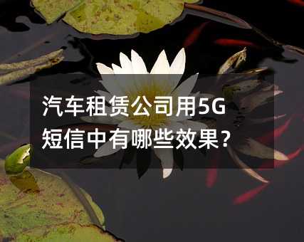 ܇(ch)U˾5GЩЧ