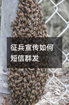 征兵宣傳如何短信群發(fā)