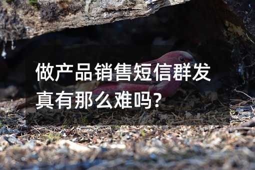 做產(chǎn)品銷售短信群發(fā)真有那么難嗎?