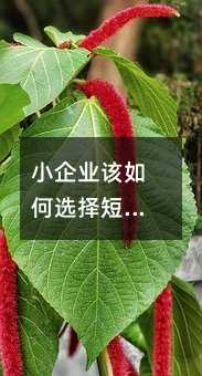 СI(y)ԓxƽ_ֵյķ
