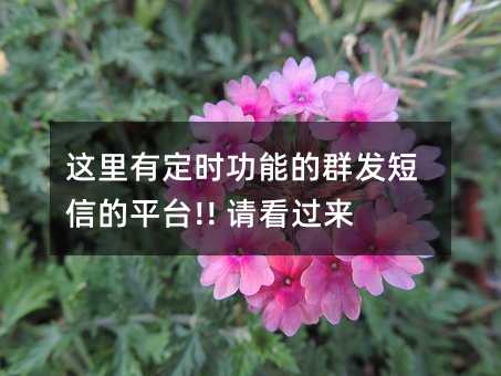 @жrܵȺl(f)ŵƽ_!! Ո^