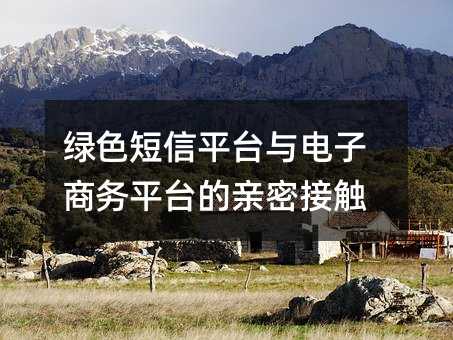 綠色短信平臺與電子商務(wù)平臺的親密接觸
