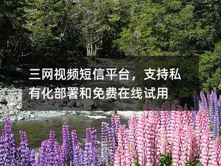 Wҕlƽ_֧˽лMھԇ