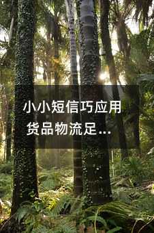 ССɑ(yng) ؛Ʒ㲻ȫƿ