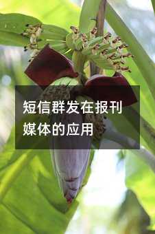 Ⱥl(f)ڈ(bo)ýwđ(yng)