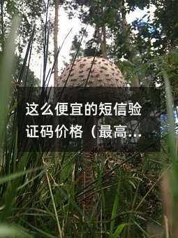 @ô˵ĶCar38ȫW(wng)Hһ˰