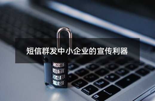 短信群發(fā)中小企業(yè)的宣傳利器