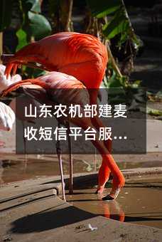 ɽ|r(nng)C?zhn)նƽ_(w)10fr(nng)CС