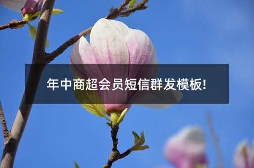 年中商超會(huì)員短信群發(fā)模板!