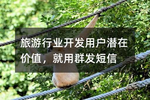 旅游行業(yè)開發(fā)用戶潛在價(jià)值,就用群發(fā)短信