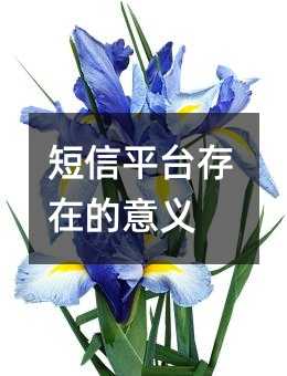 ƽ_ڵx
