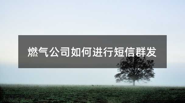 ȼ?x)⹫˾M(jn)жȺl(f)