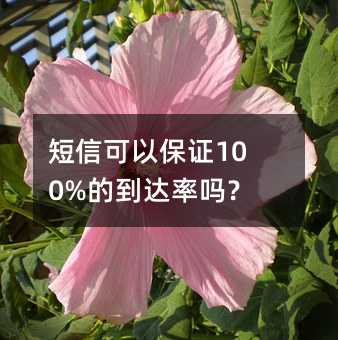 ſԱC100%ĵ_(d)ʆ