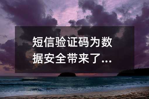 短信驗(yàn)證碼為數(shù)據(jù)安全帶來了曙光
