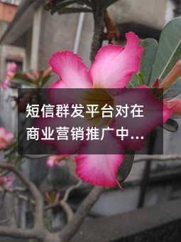 Ⱥl(f)ƽ_(ti)(du)̘I(y)I(yng)NƏVе