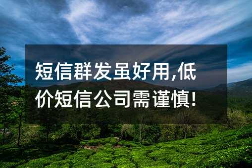 短信群發(fā)雖好用,低價(jià)短信公司需謹(jǐn)慎!