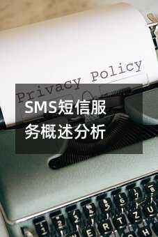 SMSŷ(w)