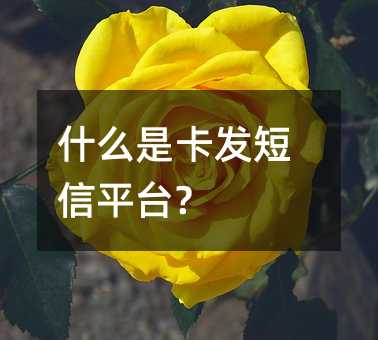 ʲôǿl(f)ƽ_(ti)?