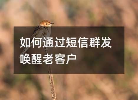ͨ^Ⱥl(f)Ͽ͑