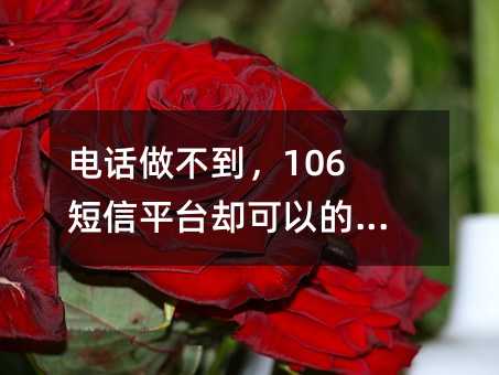 Ԓ106ƽ_sԵ