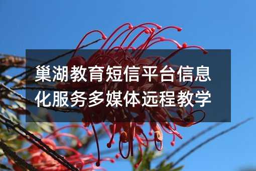 巢湖教育短信平臺(tái)信息化服務(wù)多媒體遠(yuǎn)程教學(xué)