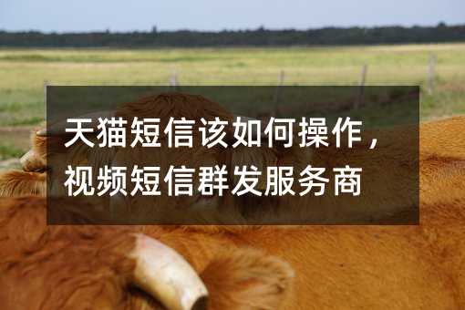 天貓短信該如何操作,視頻短信群發(fā)服務(wù)商