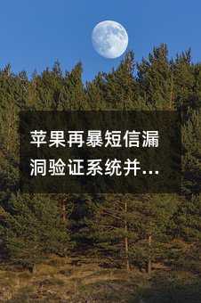 蘋果再暴短信漏洞驗證系統(tǒng)并非固若金湯