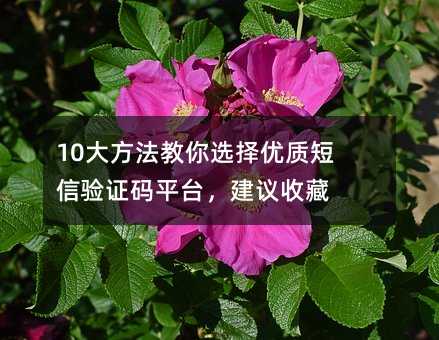 10󷽷x(yu)|(zh)(yn)Caƽ_(ti)hղ