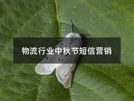 ИI(y)﹝(ji)ŠIN
