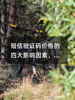 (yn)Car(ji)ĴӰM(fi)(bio)(zhn)ʲô?
