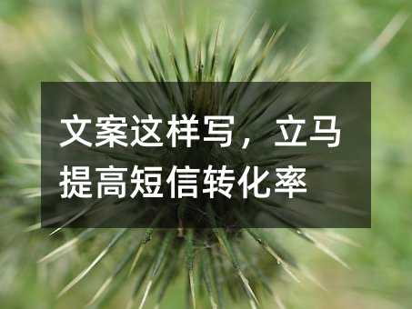 İ@ӌR߶D(zhun)