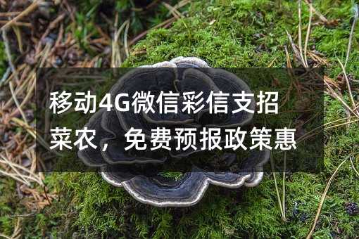 Ƅ(dng)4G΢Ų֧вr(nng)M(fi)A(y)(bo)߻r(nng)