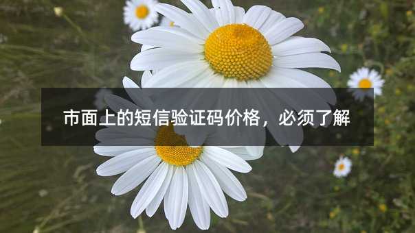 ϵĶCar˽