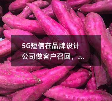 5GƷO(sh)Ӌ(j)˾͑ٻЧ