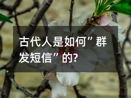 ŴΡȺl(f)š?