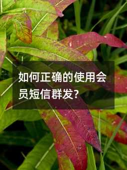 _ʹÕ(hu)TȺl(f)?