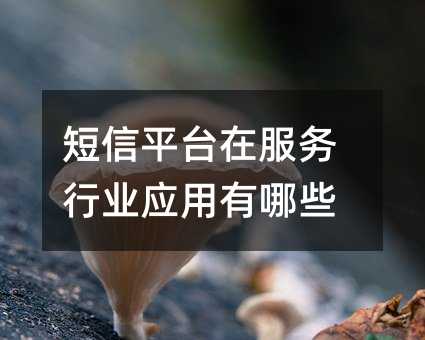 ƽ_(ti)ڷ(w)ИI(y)(yng)Щ