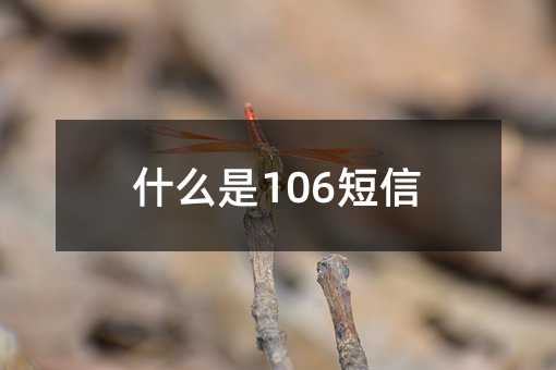 ʲô106