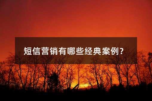 短信營銷有哪些經(jīng)典案例?