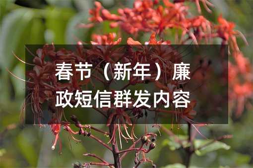 (ji)꣩Ⱥl(f)(ni)