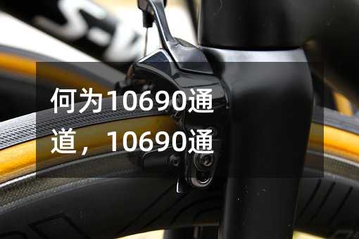 何為10690通道,10690通道詳細介紹