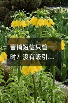 INֻһr(sh)]˵Ļ(dng)Ϣô(yng)öƽ_(ti)Ñه