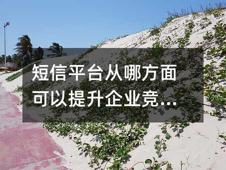 短信平臺從哪方面可以提升企業(yè)競爭力