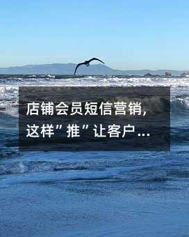 䁕TŠIN,@ӡơ׌͑I!