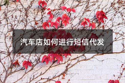 汽車(chē)店如何進(jìn)行短信代發(fā)
