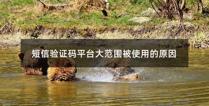 Caƽ_󷶇ʹõԭ