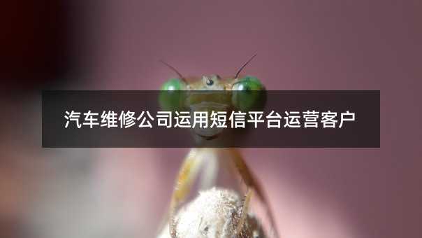 ܇S޹˾\öƽ_\I͑