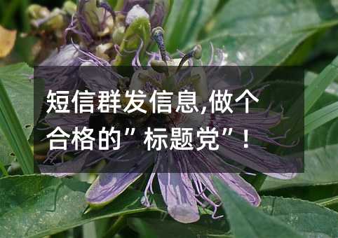 Ⱥl(f)Ϣ,(g)ϸġ(bio)}h!