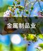 ƷI(y)