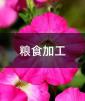 Zʳӹ